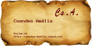 Csendes Amália névjegykártya